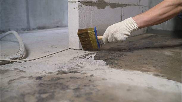 SJ Waterproofing Pros Waterproofing coverage map for Cross Plains, TN and surrounding area